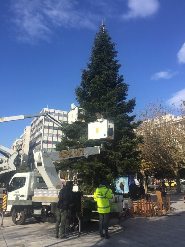 Το «πράσινο» σχέδιο του Δήμου Αθηναίων για το χριστουγεννιάτικο δέντρο στο Σύνταγμα