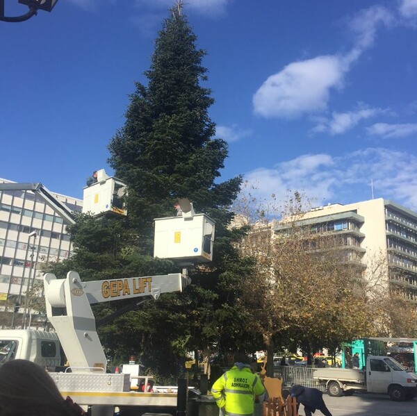 Το «πράσινο» σχέδιο του Δήμου Αθηναίων για το χριστουγεννιάτικο δέντρο στο Σύνταγμα