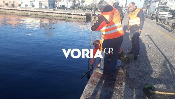 Θεσσαλονίκη: Συνεργεία του δήμου «ψαρεύουν» ηλεκτρικά πατίνια από τον Θερμαϊκό