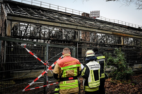 Γερμανία: Από ιπτάμενα φαναράκια η πυρκαγιά στον ζωολογικό κήπο - Δεκάδες ζώα νεκρά