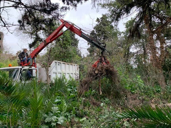 Βοτανικός Κήπος του ΕΚΠΑ: Άρχισαν οι εργασίες αποκατάστασης