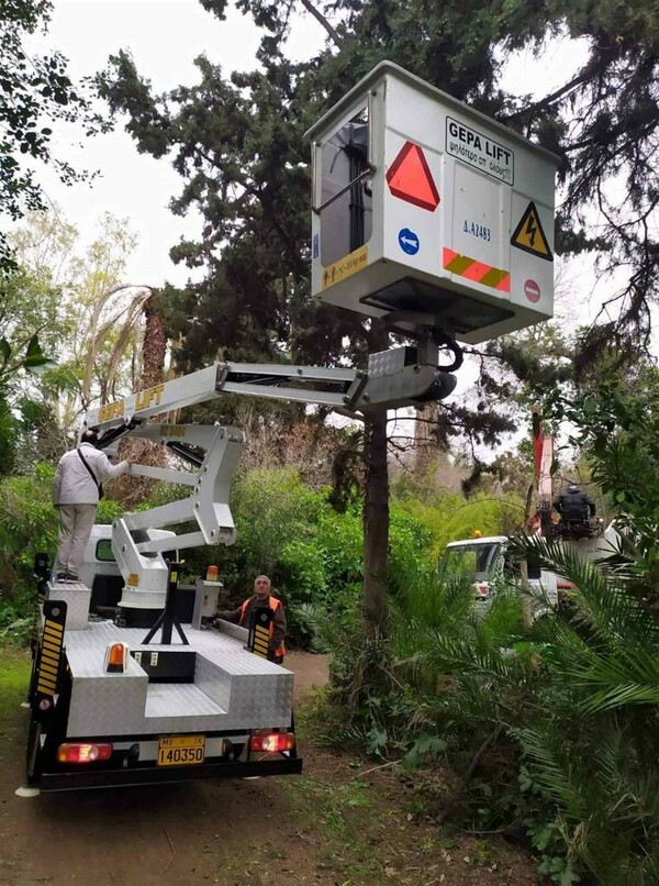 Βοτανικός Κήπος του ΕΚΠΑ: Άρχισαν οι εργασίες αποκατάστασης
