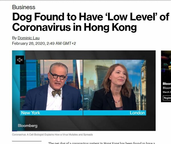 Χονγκ Κονγκ: Σκύλος ασθενούς με κοροναϊό εξετάζεται ως το πρώτο πιθανό κρούσμα σε κατοικίδιο