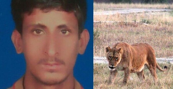 Λιοντάρια κατασπάραξαν 17χρονο σε ζωολογικό κήπο του Πακιστάν