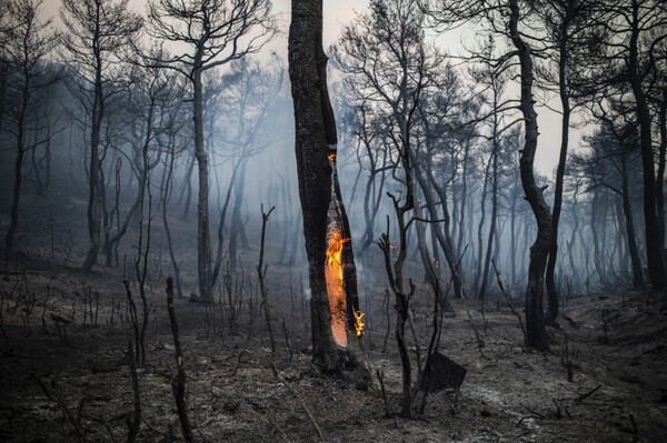 Ανακοινώθηκαν τα βραβεία του #PRESS_Photostories 2019