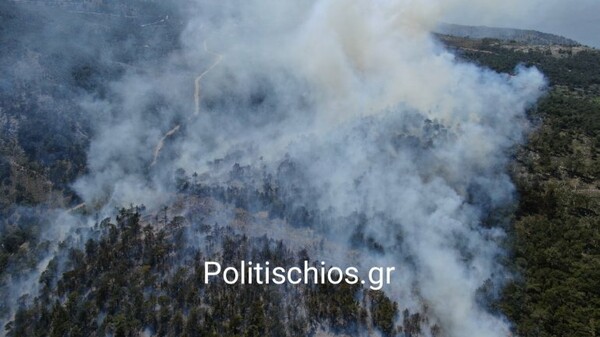 Χίος: Φωτιά σε δασική έκταση- Στην περιοχή πνέουν ισχυροί άνεμοι