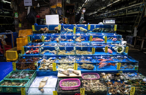 Τα wet markets της Κίνας ανοίγουν ξανά - Αυστηρές προειδοποιήσεις από ΠΟΥ