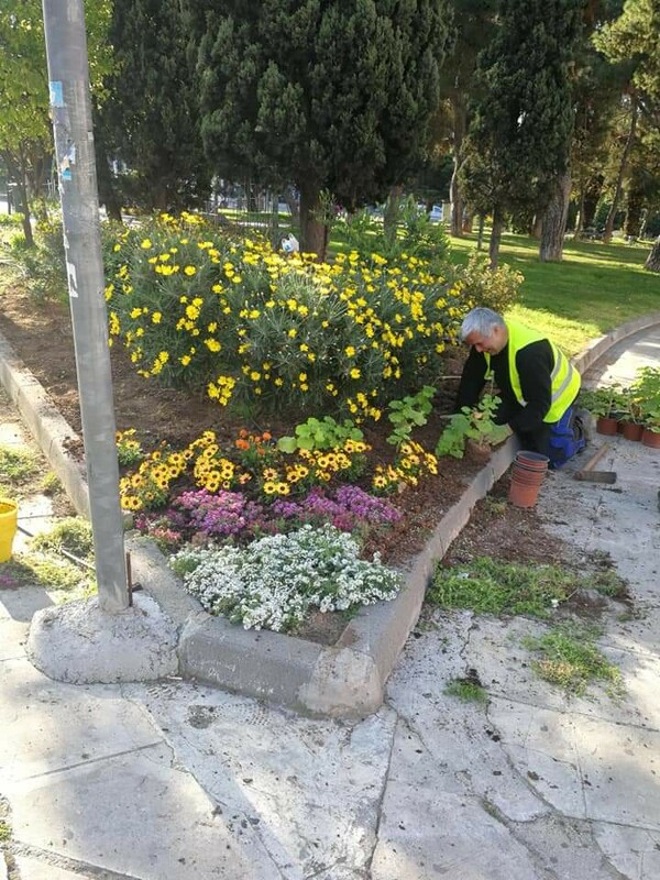 «Άνθισε» η Αθήνα- 8.500 νέα φυτά σε διάφορα σημεία της πόλης, από τις αρχές Μαρτίου