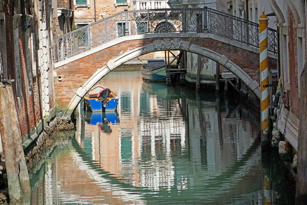 Κορωνοϊός: Τι πραγματικά συμβαίνει με τα πλάσματα που παρατηρούνται στα κανάλια της Βενετίας