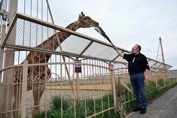 Ζωολογικός κήπος ζητά χρήματα να φροντίσει τα ζώα: «Είχαν συνηθίσει τον κόσμο και νιώθουν μοναξιά»