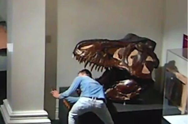 Φοιτητής διέρρηξε μουσείο για να βγάλει σέλφι με τους δεινόσαυρους - Έκλεψε και ένα καπέλο