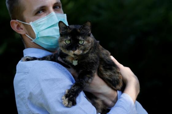 Γάτα στη Γαλλία επέζησε του νέου κορωνοϊού: «Μετά βίας σήκωνε το κεφάλι της»