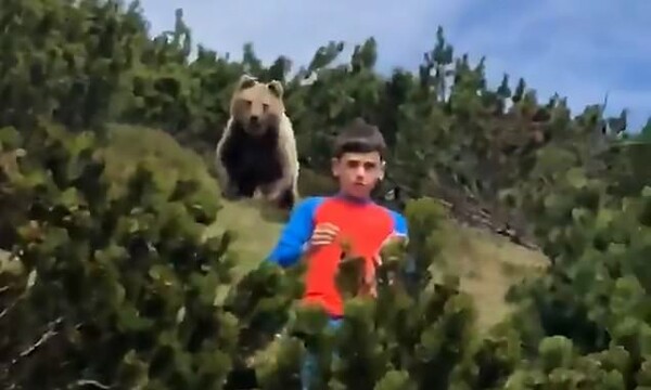 Ιταλικές Άλπεις: Η ψυχραιμία ενός 12χρονου όταν μια αρκούδα αρχίζει να τον ακολουθεί