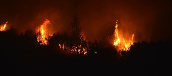 Φωτιά στη Ζάκυνθο- Ολονύχτια μάχη με τις φλόγες στις Μαριές