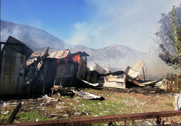 Εκατοντάδες πρόβατα κάηκαν από φωτιά σε ποιμνιοστάσιο στη Λάρισα