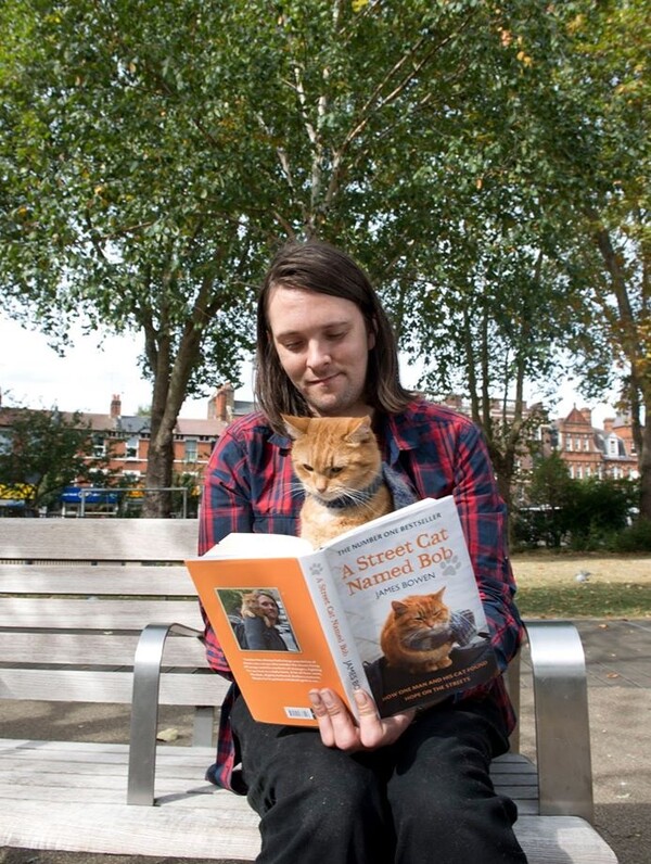 A Street Cat Named Bob: Πέθανε ο αδέσποτος γάτος που ενέπνευσε το διάσημο βιβλίο