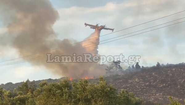 Σε ύφεση η φωτιά στο Μαρτίνο- Άνοιξε η εθνική οδός Αθηνών- Λαμίας