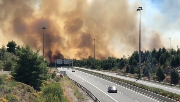 Φωτιά στο Μαρτίνο: Καίει και στις δύο πλευρές της εθνικής οδού- Ενίσχυση των πυροσβεστικών δυνάμεων