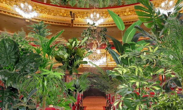 Πρεμιέρα στην όπερα της Βαρκελώνης με συμβολική συναυλία σε 2.292 φυτά