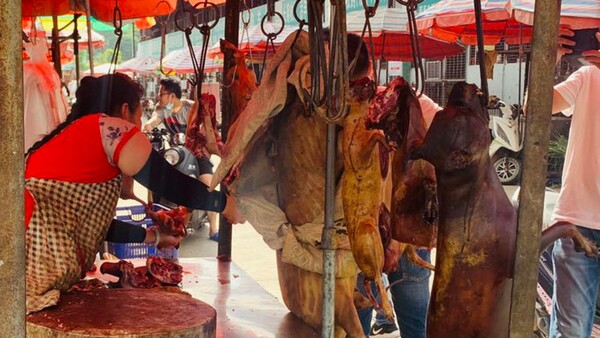 Ξεκίνησε ξανά στην Κίνα το φεστιβάλ κατανάλωσης κρέατος σκύλου: «Θα πάρει χρόνο η απαγόρευση»