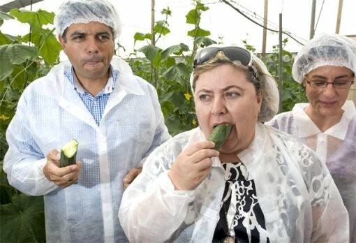 Δεν φταίνε τα Ισπανικά αγγουράκια, λένε τώρα οι Γερμανοί
