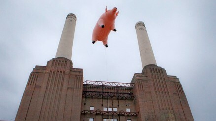When pigs fly