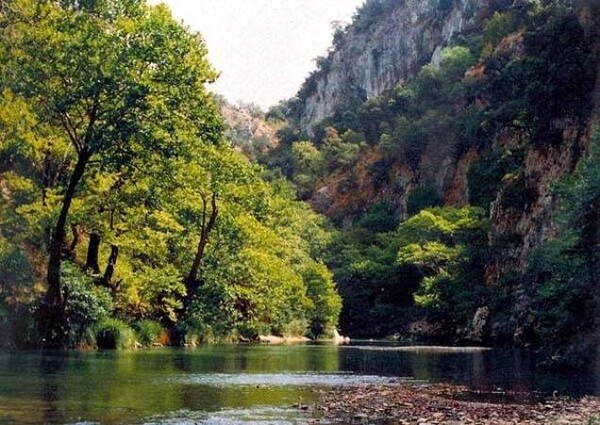 Το περιβάλλον, ζωτικό μέρος της λύσης