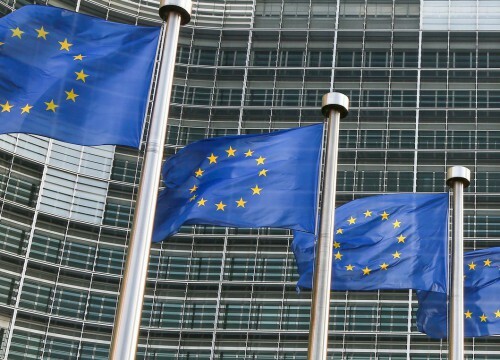 FAZ: 120 πολιτικοί από 50 χώρες στα Paradise papers