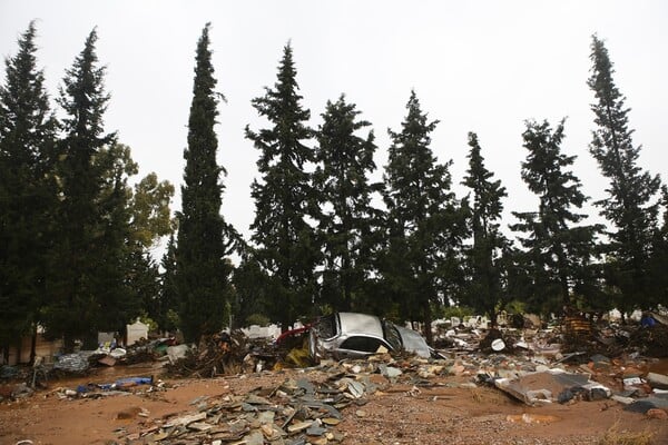 Καταστροφή, νεκρά ζώα και χάος στη δυτική Αττική - Εικόνες σοκ