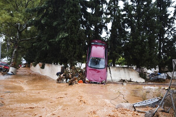 Καταστροφή, νεκρά ζώα και χάος στη δυτική Αττική - Εικόνες σοκ