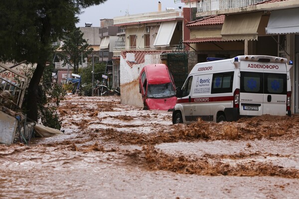 Καταστροφή, νεκρά ζώα και χάος στη δυτική Αττική - Εικόνες σοκ