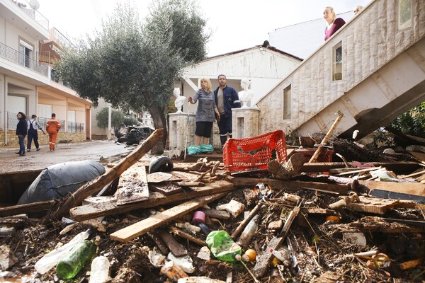 Καταστροφή, νεκρά ζώα και χάος στη δυτική Αττική - Εικόνες σοκ