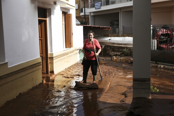 Καταστροφή, νεκρά ζώα και χάος στη δυτική Αττική - Εικόνες σοκ