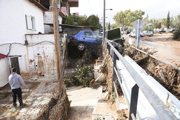 Καταστροφή, νεκρά ζώα και χάος στη δυτική Αττική - Εικόνες σοκ