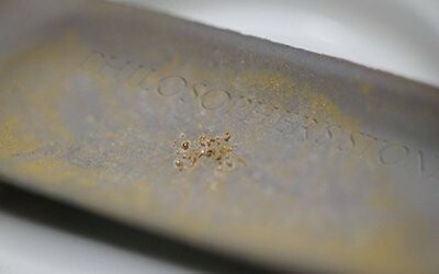 Χρυσός 24 καρατιών φτιαγμένος από βακτήρια