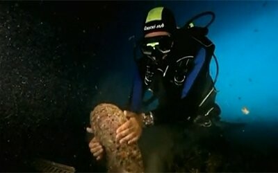 Διασώθηκαν γιγαντιαία «μύδια» στην περιοχή που ναυάγησε το Costa Concordia