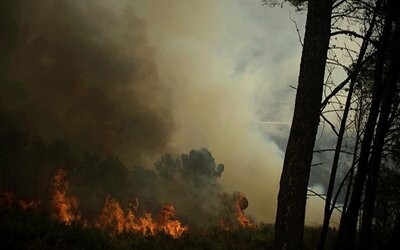 H αλ-Κάιντα είναι υπεύθυνη για τις πυρκαγιές σε ευρωπαϊκές δασικές περιοχές