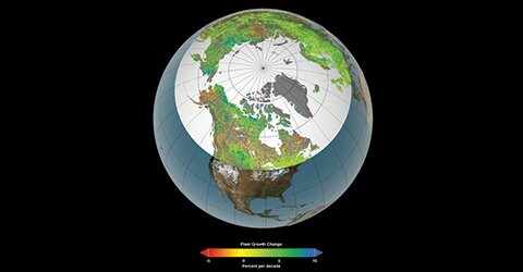 Το φαινόμενο του θερμοκηπίου «πρασίνισε» το βόρειο μέρος της Γης