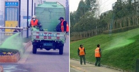 Οι κινεζικές αρχές βάφουν πράσινο το γρασίδι