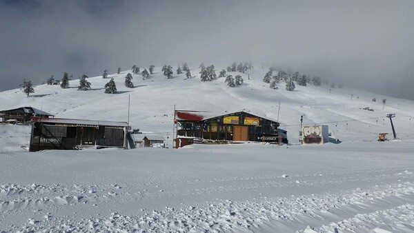 Πυκνό το χιόνι στην Βασιλίτσα - Πυρετώδεις προετοιμασίες στο χιονοδρομικό