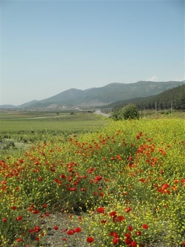 Ταξίδι στηνΑντιόχεια