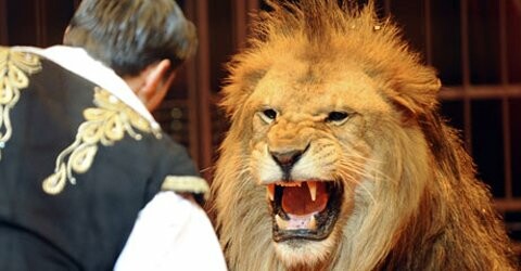 Απομακρύνθηκαν τα τελευταία λιοντάρια από τα βρετανικά τσίρκα