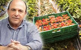 Ρεπορτάζ καταγράφει την προσωπικότητα του ιδιοκτήτη της επιχείρησης φράουλας στην Μανωλάδα