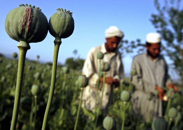 Η υπηρεσία πληροφοριών του Αφγανιστάν απέλυσε 65 εθισμένους στην ηρωίνη