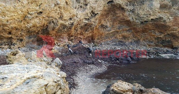 Πώς η Ηλιάννα Σταμαδιάνου βρέθηκε νεκρή - Φωτογραφίες από το αυτοκίνητό της στον γκρεμό