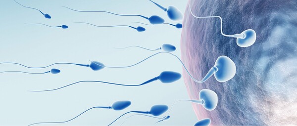 Επιστήμονες ανακοίνωσαν ένα σημαντικό βήμα στη μίμηση του τρόπου που το σώμα δημιουργεί σπέρμα