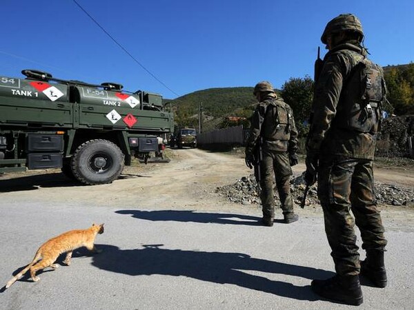 Ιταλίδα στρατιωτική γιατρός έσωζε τη ζωή μιας γάτας και την περνάνε στρατοδικείο