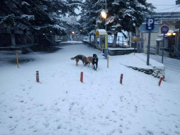 Στα «λευκά» τα ορεινά της Λάρισας