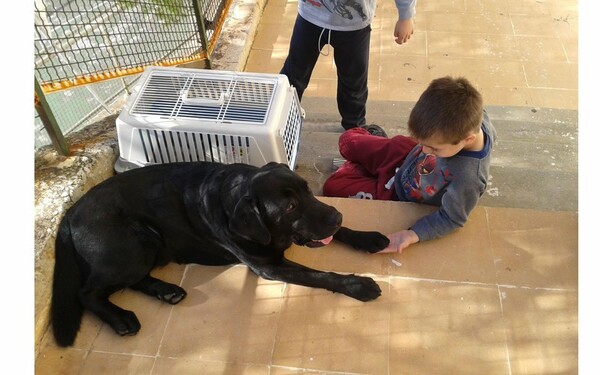 “Pets for Kids”