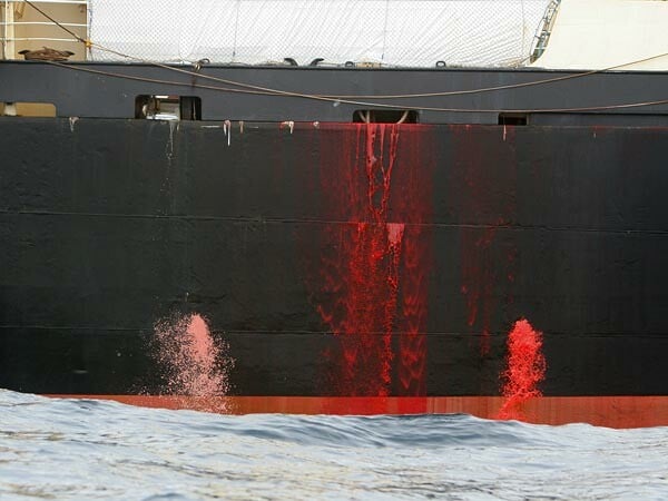 Η Ιαπωνία δεν μπορεί πια να σκοτώνει φάλαινες